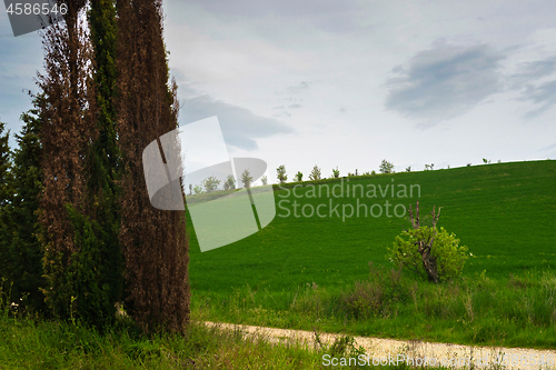 Image of Beautiful spring landscape with hills in Tuscany