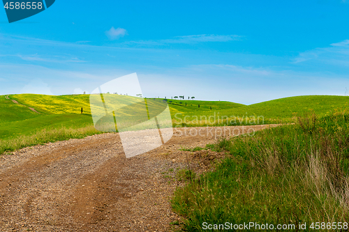 Image of Winding road in Tuscana, Italy