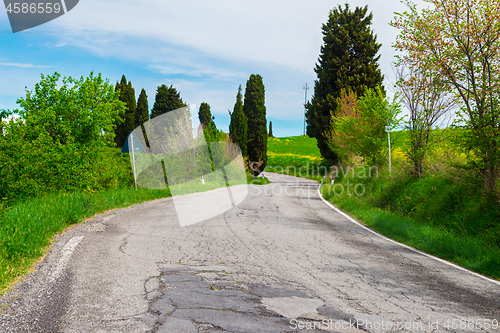 Image of Winding road in Tuscana, Italy