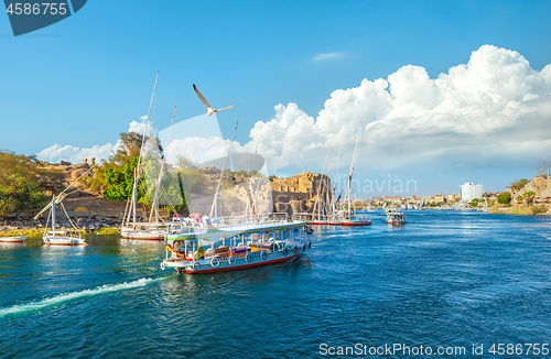 Image of Touristic boats on Nile