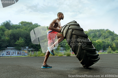 Image of Handsome muscular man flipping big tire outdoor.