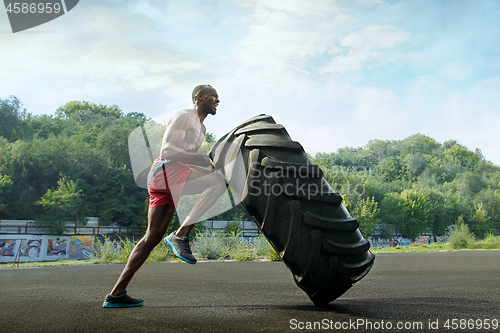 Image of Handsome muscular man flipping big tire outdoor.