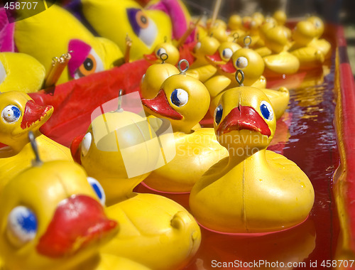 Image of lots of rubber ducks