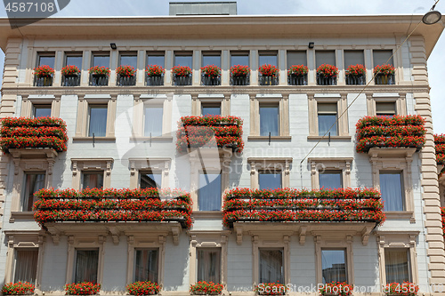 Image of Floral Terraces