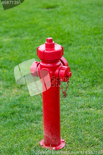 Image of Fire Hydrant Gras