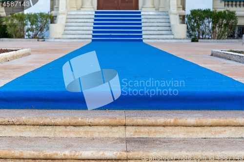 Image of Blue Carpet