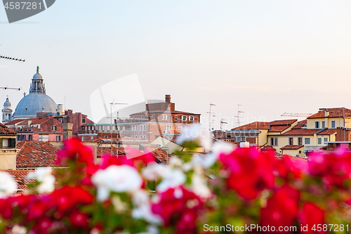 Image of Historical urban sityscape with colored flowers on the forefront.