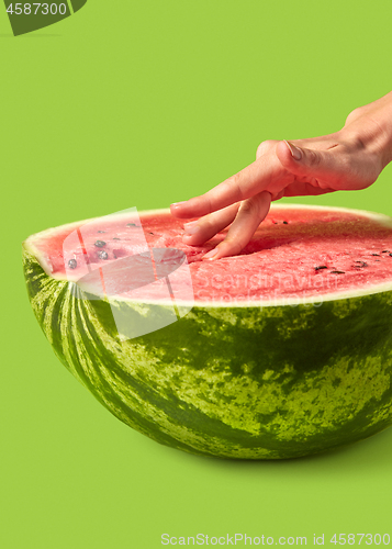 Image of Woman\'s fingers inside fresh juicy natural watermelon\'s pulp.