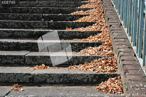 Image of Autumn scene