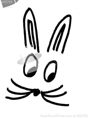 Image of rabbit