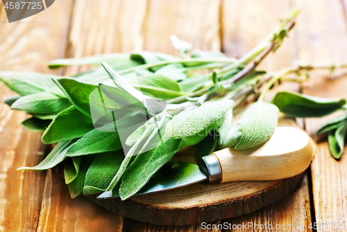 Image of fresh sage