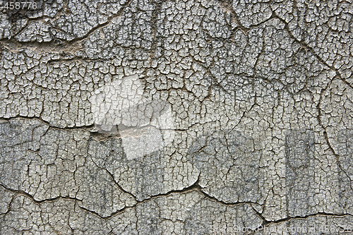 Image of Paint texture