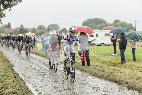 Image of The Peloton on a Cobblestone Road - Tour de France 2014