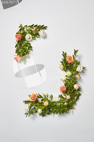 Image of Greeting card from evergreen branches and coral flowers.