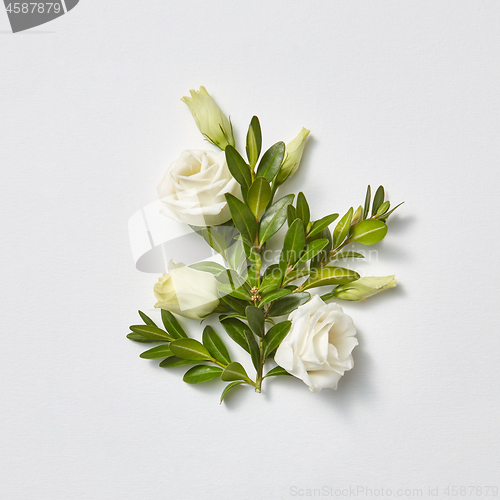 Image of Greeting card beautiful white roses with evergreen twigs.