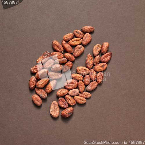 Image of Natural cocoa peas in the shape of big bean.