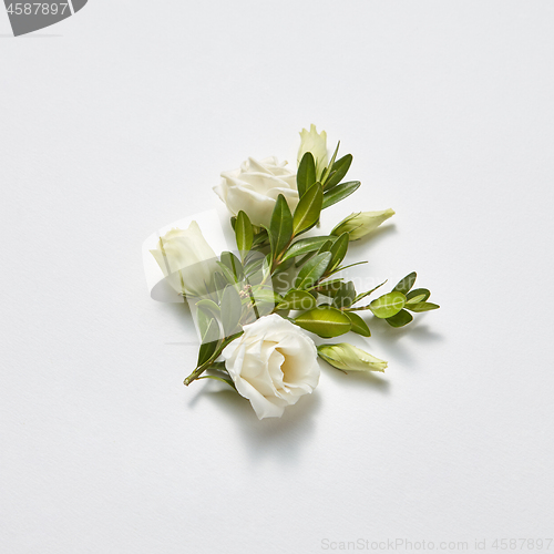 Image of Congratulation card with natural green twig and roses.