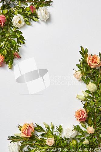 Image of Green leaves border from evergreen leaves anf roses flowers.