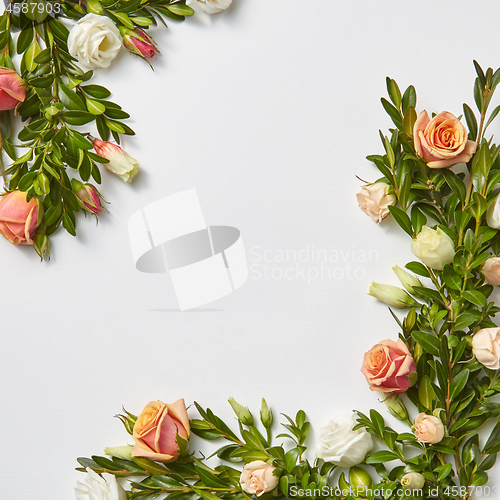 Image of Congratulation card with evergreen twigs and flowers.