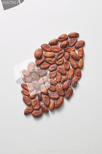 Image of Big bean from freshly dried natural cocoa peas.