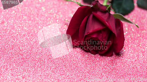 Image of Rose over pink abstract background with bokeh
