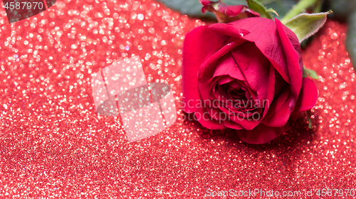 Image of Rose over red abstract background with bokeh