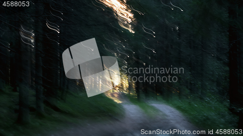 Image of Motion Blurred Background Of Sunlight Streaks In A Dark Forest 