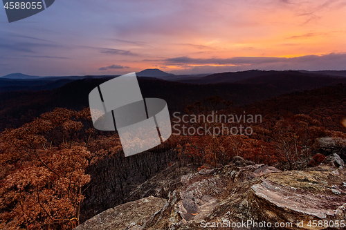 Image of Sunset over charred landscape after bush fires in Australia