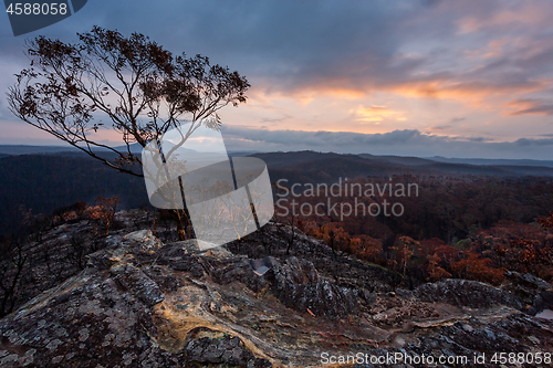 Image of Sunset sky and rain over burnt bushland in Australia