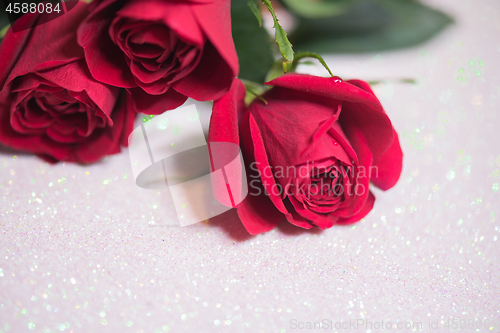 Image of Roses over abstract background with bokeh