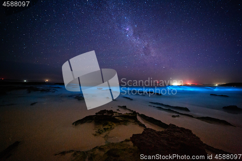 Image of Bioluninescence and stars in Australia