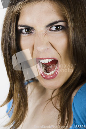 Image of Yelling