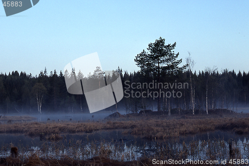 Image of Triungsvann