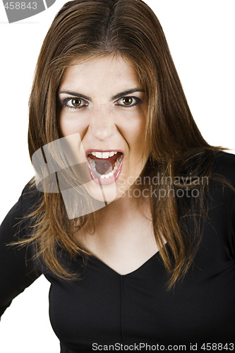 Image of Yelling