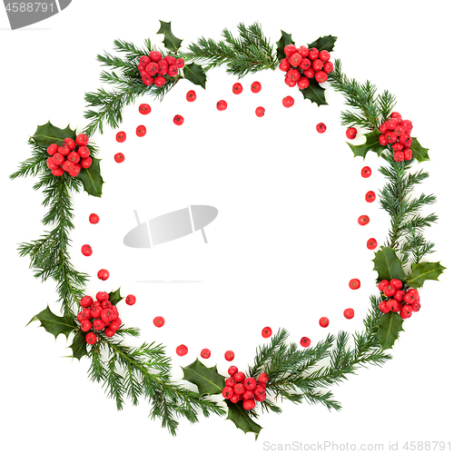 Image of Holly and Juniper Fir Wreath