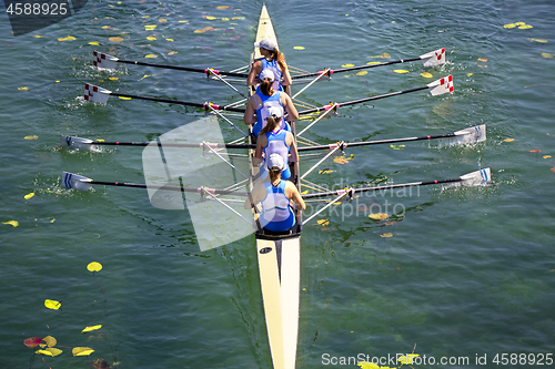 Image of Women's quadruple rowing team on green lake