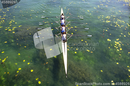 Image of Women's quadruple rowing team on green lake