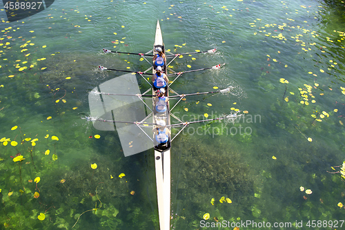 Image of Women's quadruple rowing team on green lake