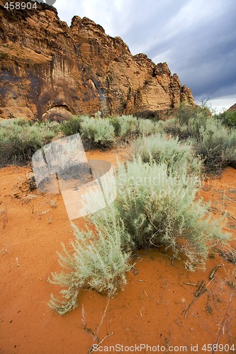 Image of Snow Canyon - Utah