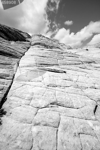 Image of Looking up the Sandstones in Snow Canyon - Utah