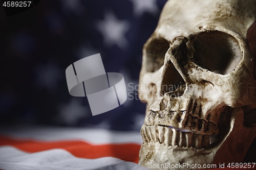 Image of Human skull close up photo