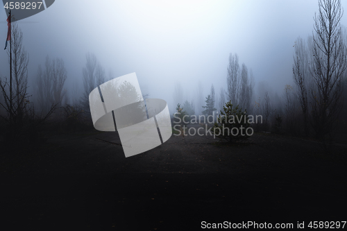 Image of Dark abandoned road in the forest