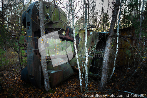 Image of Fallen tree on abandoned truck left outside