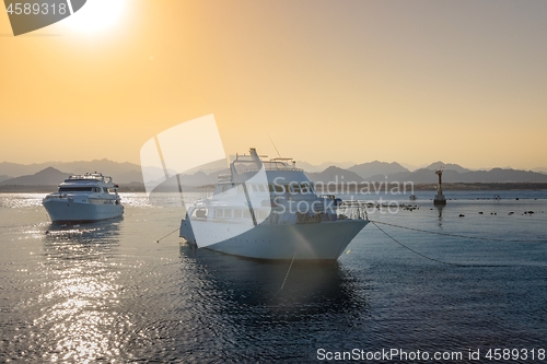 Image of Luxury yacht docking near coral reef