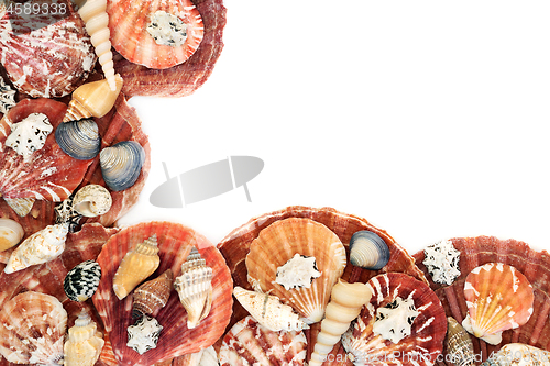 Image of Seashell Abstract Background