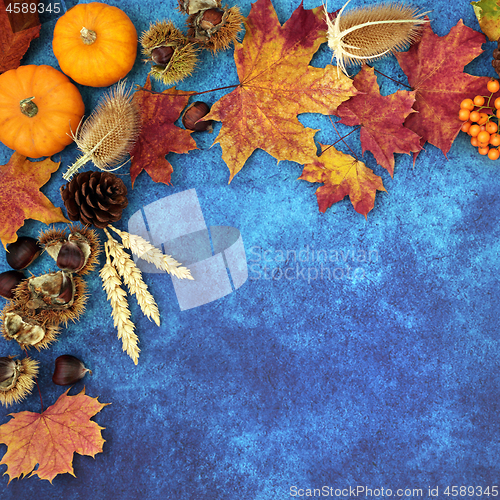 Image of Autumn Background Border 