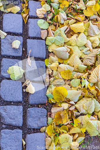 Image of Leaves Cobblestone