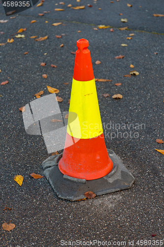 Image of Fluorescent Cone