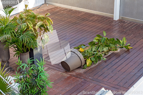 Image of Overturned Plant Pot 