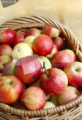 Image of Bright ripe apples close-up in a basket